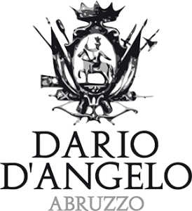 Logo DARIO D'ANGELO classic nero