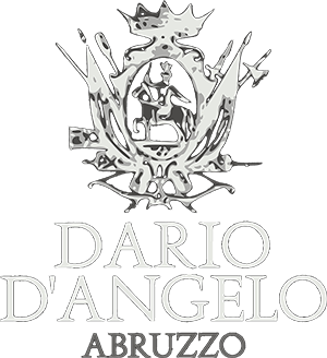 Logo DARIO D'ANGELO classic bianco